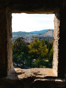 Abogados de accidentes de tráfico en Palma